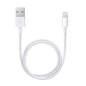 Adaptor Apple Lightning to USB Cable (0.5 m) imagine