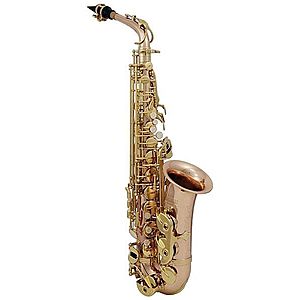Roy Benson AS-202G Saxofon alto imagine