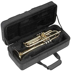 SKB Cases 1SKB-SC330 R Geantă pentru trompetă imagine