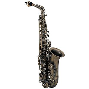 Roy Benson AS-202A Saxofon alto imagine