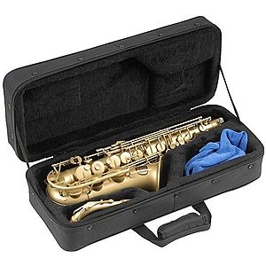 SKB Cases 1SKB-340 Alto Geantă pentru saxofon imagine