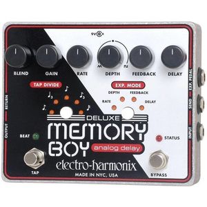 Electro Harmonix Deluxe Memory Boy imagine