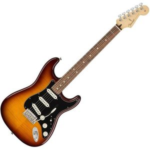 Fender Player Series Stratocaster PLS TOP PF Tobacco Burst imagine