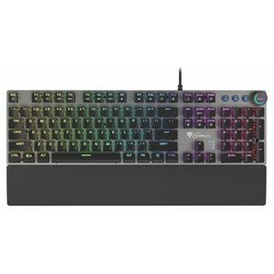 Tastatura Gaming Genesis Thor 400 RGB (Negru/Gri) imagine