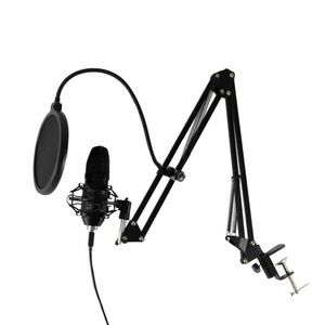 Set microfon profesional, USB, brat articulat, filtru pop-up flexibil, studio, streaming imagine