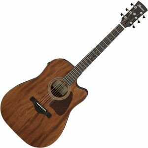 Ibanez AW1040CE-OPN Open Pore Natural imagine