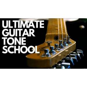 ProAudioEXP Ultimate Guitar Tone School Video Training Course (Produs digital) imagine