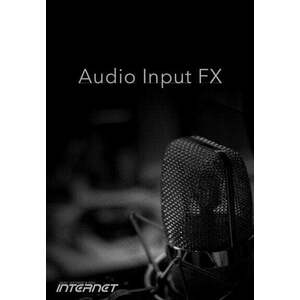Internet Co. Audio Input FX (Produs digital) imagine