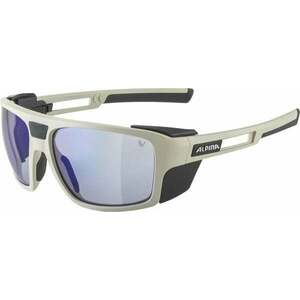 Alpina Skywalsh V Cool/Grey Matt/Blue Outdoor ochelari de soare imagine
