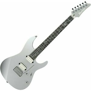 Ibanez TOD10 Silver imagine