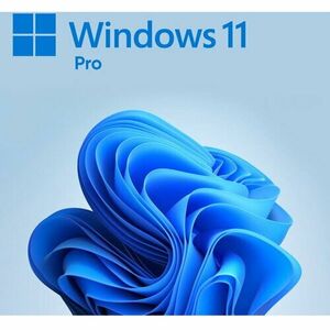 Windows 11 Professional 64-bit, Engleza, GGK, DVD, licenta legalizare imagine