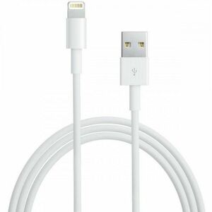 Cablu date Apple Lightning-USB 2.0 (2 m) imagine