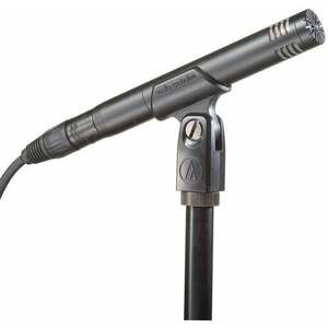 Audio-Technica AT2031 Microfon cu condensator pentru instrumente imagine