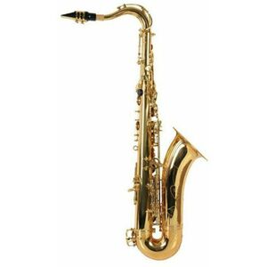 Victory VTS Student Saxofon tenor imagine