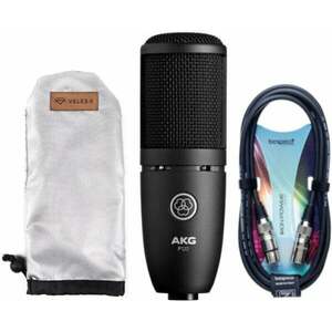 AKG P120+ Recording Microphone SET Microfon cu condensator pentru studio imagine