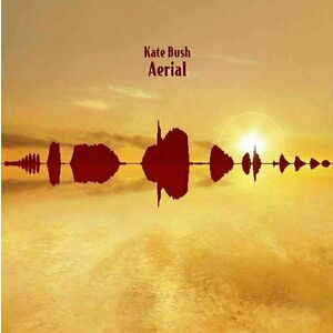 Kate Bush - Aerial (2 LP) imagine