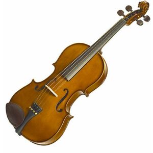 Stentor Violin 4/4 Student Standard imagine