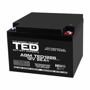 Acumulator TED AGM VRLA TED003638, 26 Ah, 12 V, M5 imagine