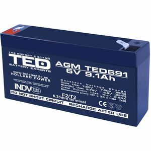 Acumulator AGM VRLA TED TED002990, 6 V, 9.1 A imagine