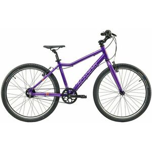 Academy Grade 5 Belt Purple 24" Biciclete copii imagine