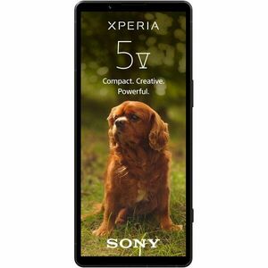 Telefon mobil Sony Xperia 5 V, Dual SIM, 8GB RAM, 128GB, 5G, Negru imagine
