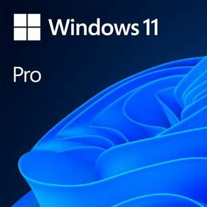 Licenta OEM Microsoft Windows 11 Pro, 64 bit, English imagine