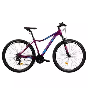 Bicicleta Mtb Terrana 2922 - 29 Inch, S, Violet imagine