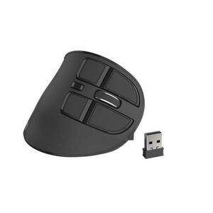 Mouse wireless Natec Euphonie, 2400 DPI, USB/Bluetooth (Negru) imagine