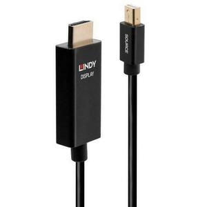 Cablu Lindy LY-40921, DisplayPort - HDMI, 1m imagine
