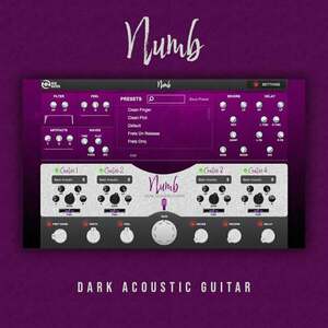 New Nation Numb - Dark Acoustic Guitar (Produs digital) imagine