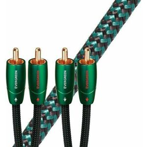 AudioQuest Evergreen 0, 6 m Verde Cablu Hi-Fi audio imagine