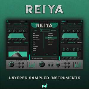 New Nation Reiya - Layered Sampled Instruments (Produs digital) imagine