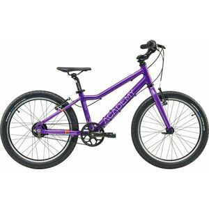 Academy Grade 4 Belt Purple 20" Biciclete copii imagine