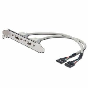 Cablu pentru suport pentru USB Assmann, 2x tip A-2x5pin IDC imagine