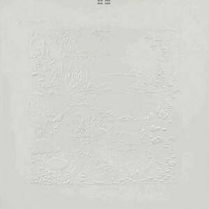 Bon Iver - Bon Iver (10Th Anniversary Edition) (White Vinyl) (2 LP) imagine
