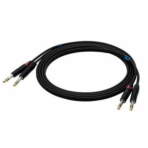 Cablu audio SSQ JSJS, 2xJack 6.3 mm - 2xJack 6.3 mm, 2 m, Negru imagine