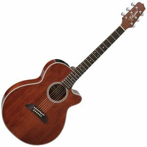 Takamine EF261S-AN Antique Stain imagine
