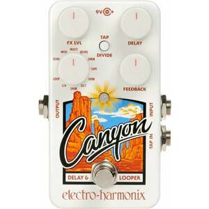Electro Harmonix Canyon imagine