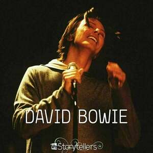 David Bowie - VH1 Storytellers (LP) imagine