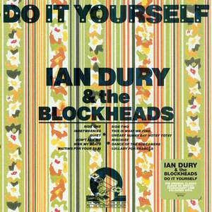 Ian Dury & The Blockheads - Do It Yourself (140g) (LP) imagine