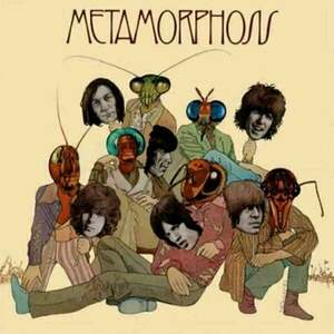 The Rolling Stones - Metamorphosis (LP) imagine