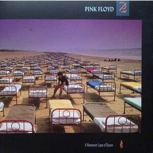Pink Floyd - A Momentary Lapse Of Reason (2011 Remastered) (LP) imagine