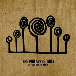 The Pineapple Thief - Nothing But The Truth (2 LP) imagine