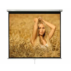Ecran proiectie perete/tavan Blackmount, marime vizibila: 240cm x 240 cm, manual, Format 1: 1 imagine