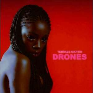 Terrace Martin - Drones (LP) imagine