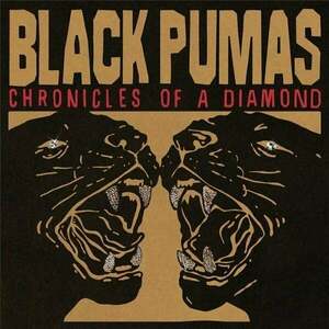 Black Pumas - Chronicles Of A Diamond (Clear Coloured) (LP) imagine