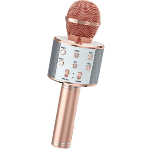 Microfon Wireless Kararoke WS858 functie Bluetooth Card Sd putere 5W imagine