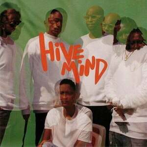 Internet - Hive Mind (2 LP) imagine