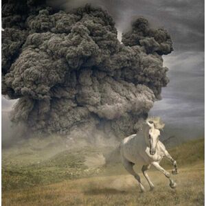 The White Buffalo - Year Of The Dark Horse (LP) imagine