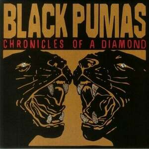 Black Pumas Black Pumas (LP) imagine